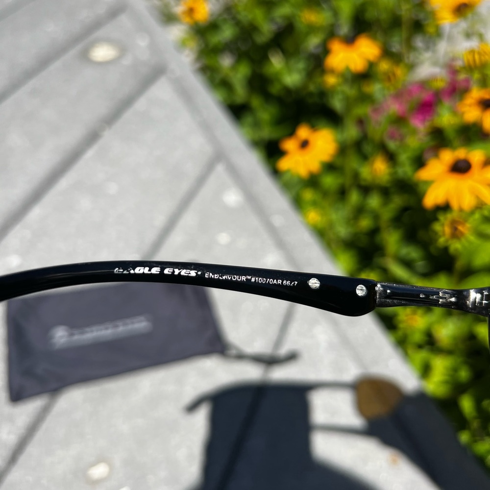 CLEARANCE Men’s Eagle Eyes Tinted Sunglasses with Cleaner and Case! - Picture 11 of 16